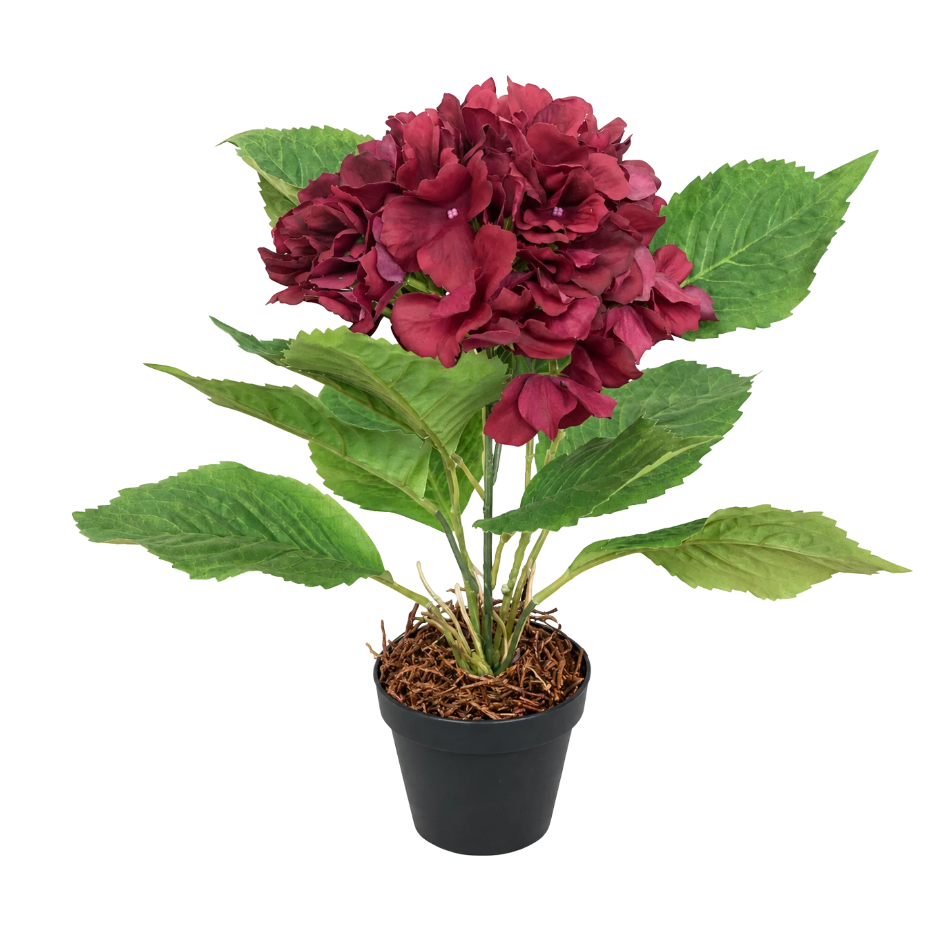Realtouch hortensia i potte H40