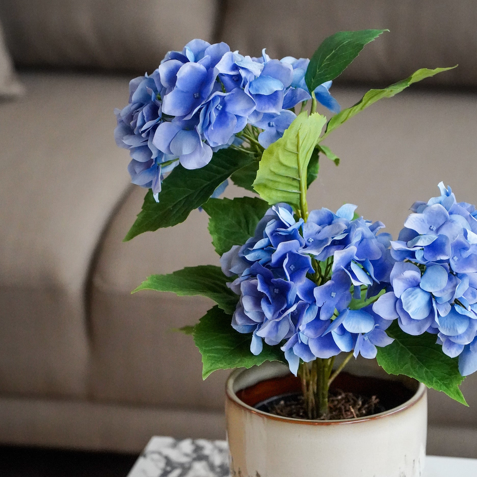 Realtouch hortensia i potte H48