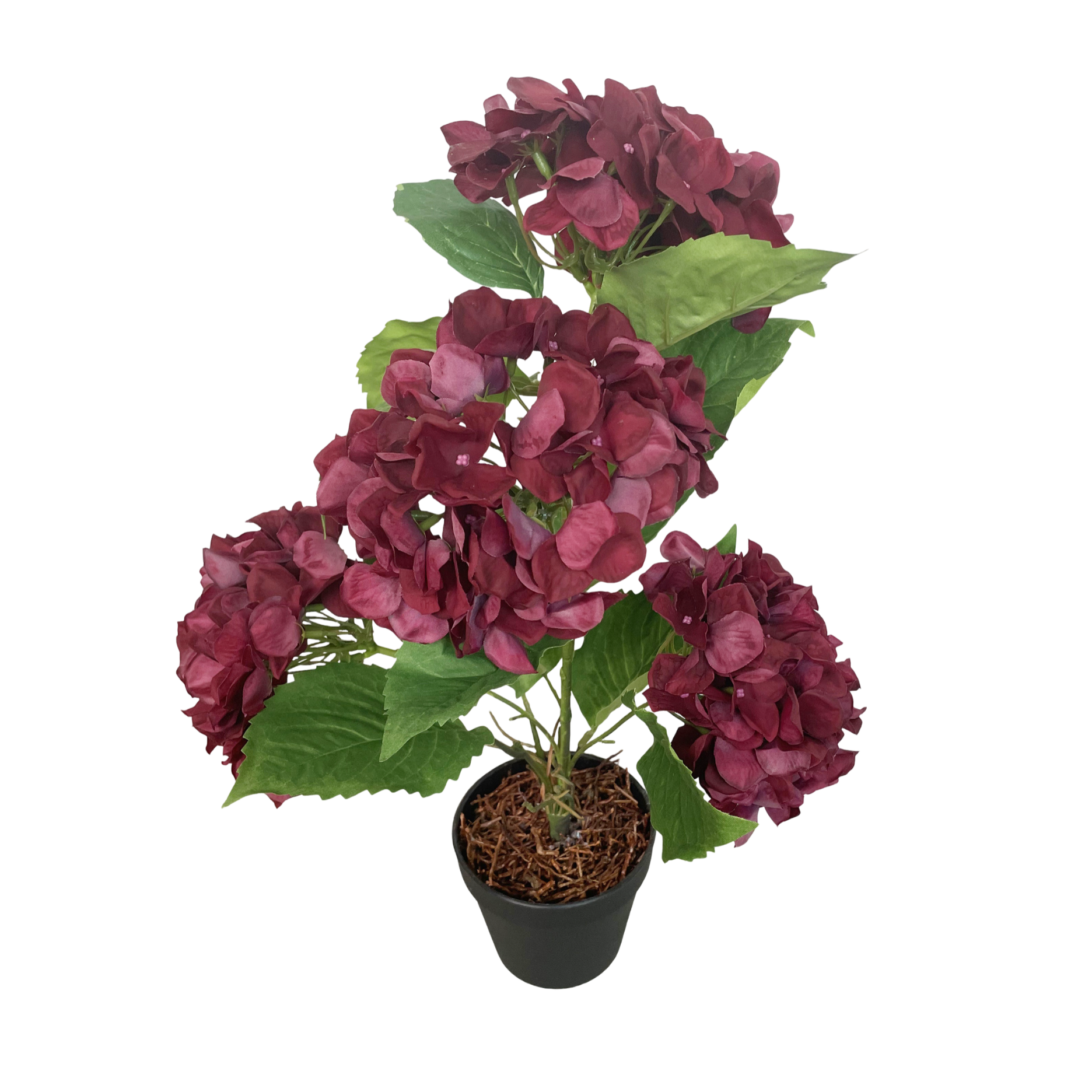 Realtouch hortensia i potte H48