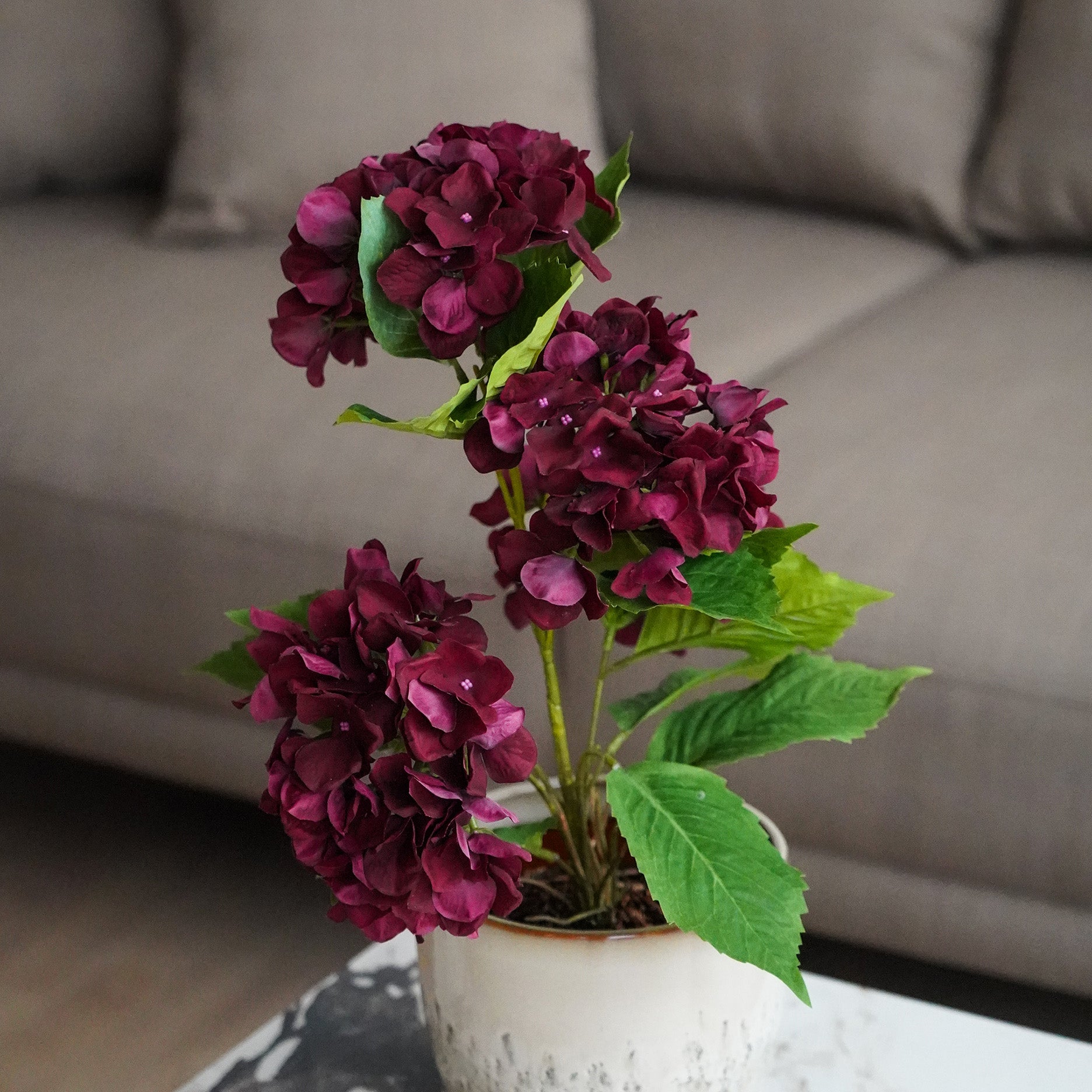 Realtouch hortensia i potte H48