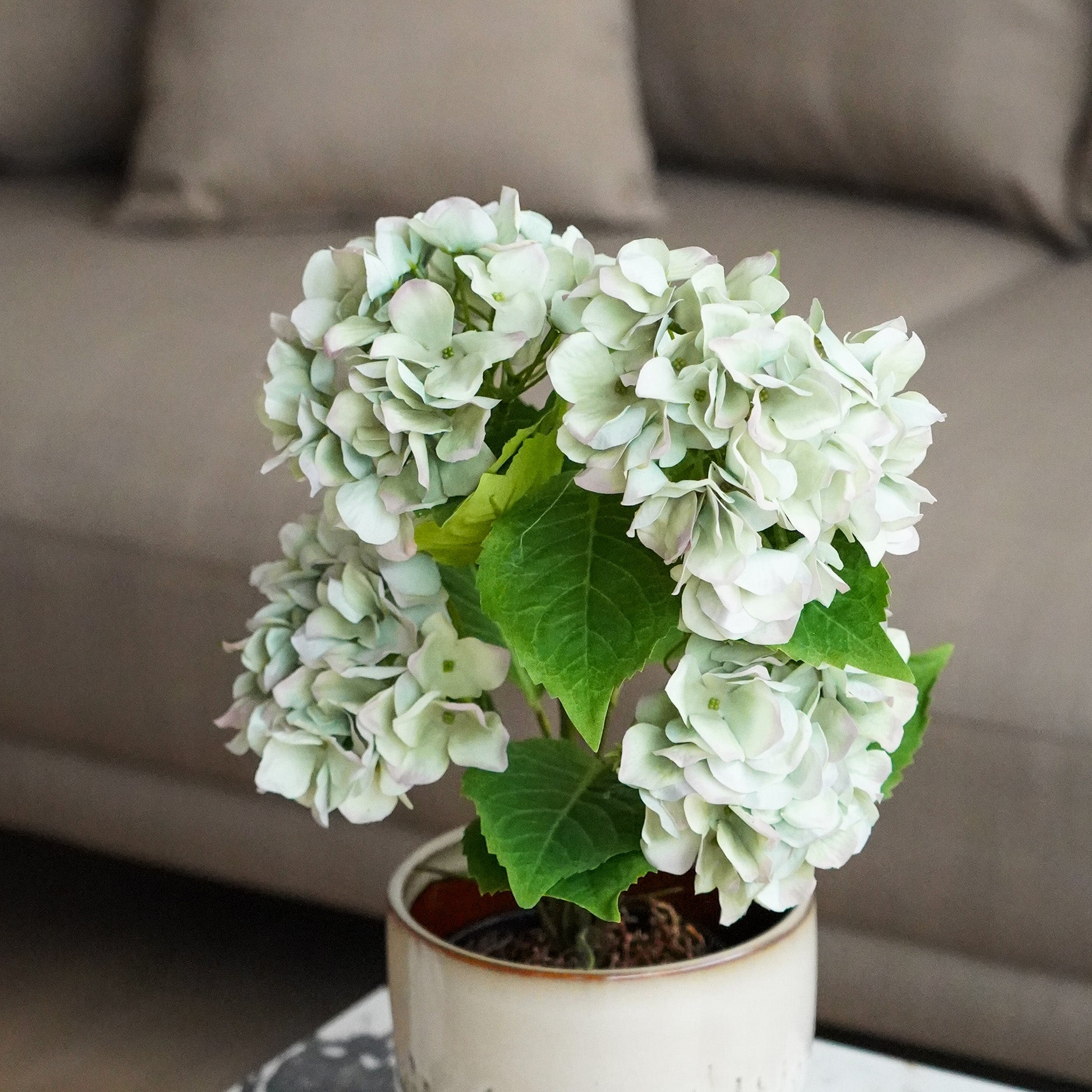 Realtouch hortensia i potte H48