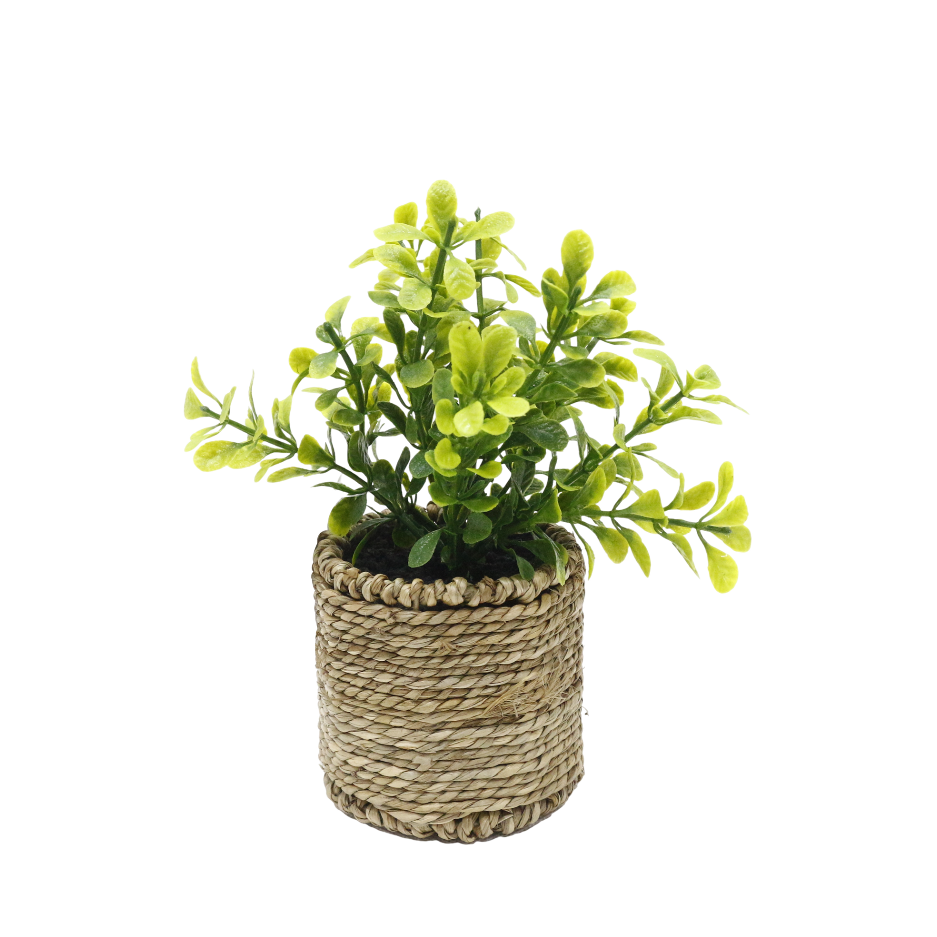 Kunstplante i flettet potte II