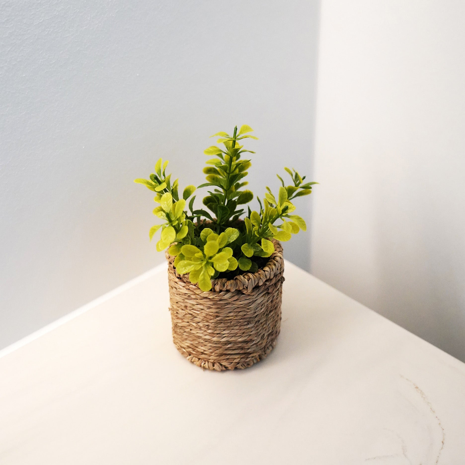 Kunstplante i flettet potte II