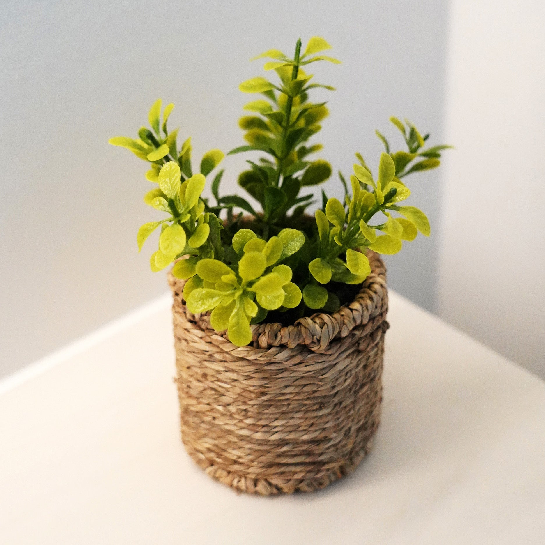 Kunstplante i flettet potte II