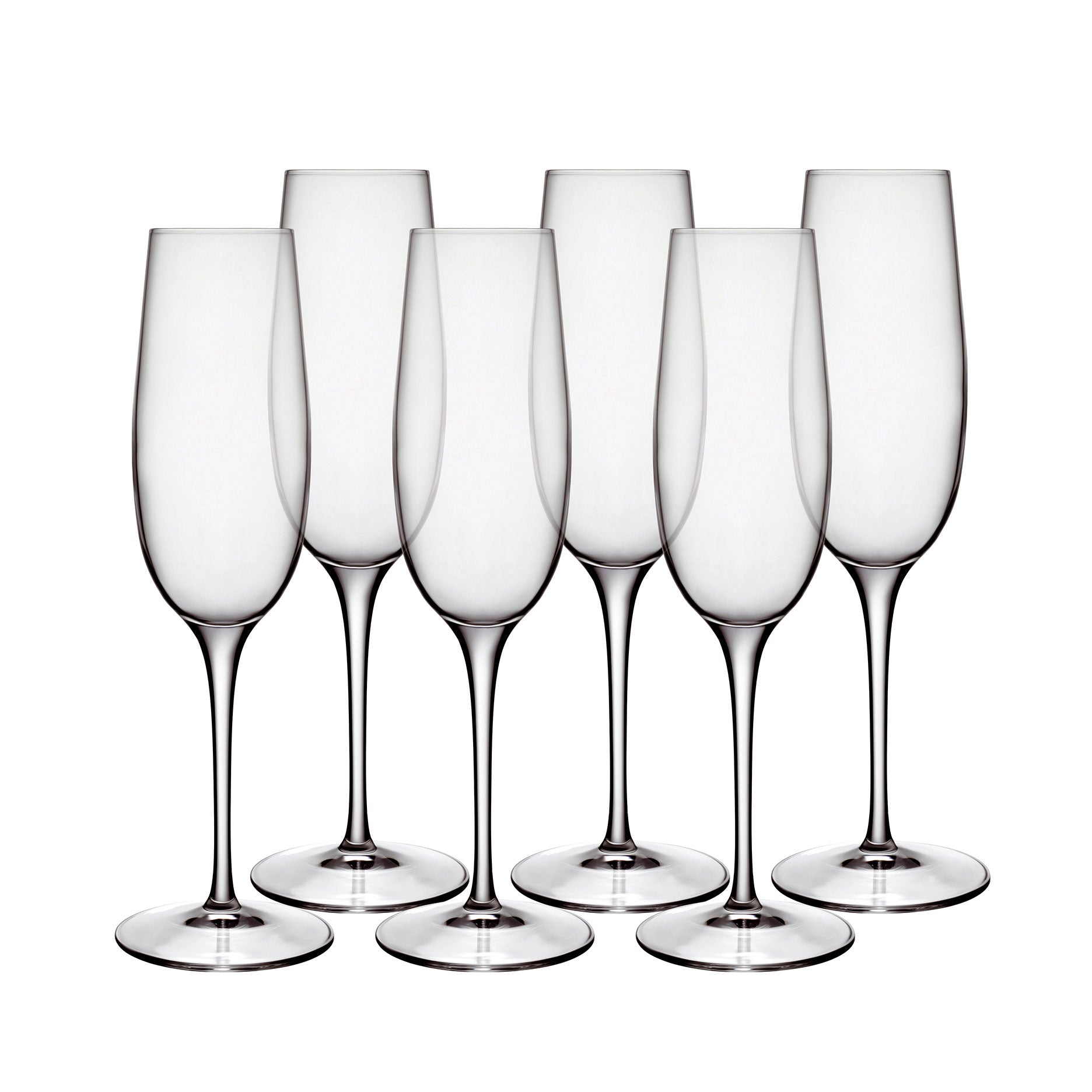 Palace champagneglas 6 stk