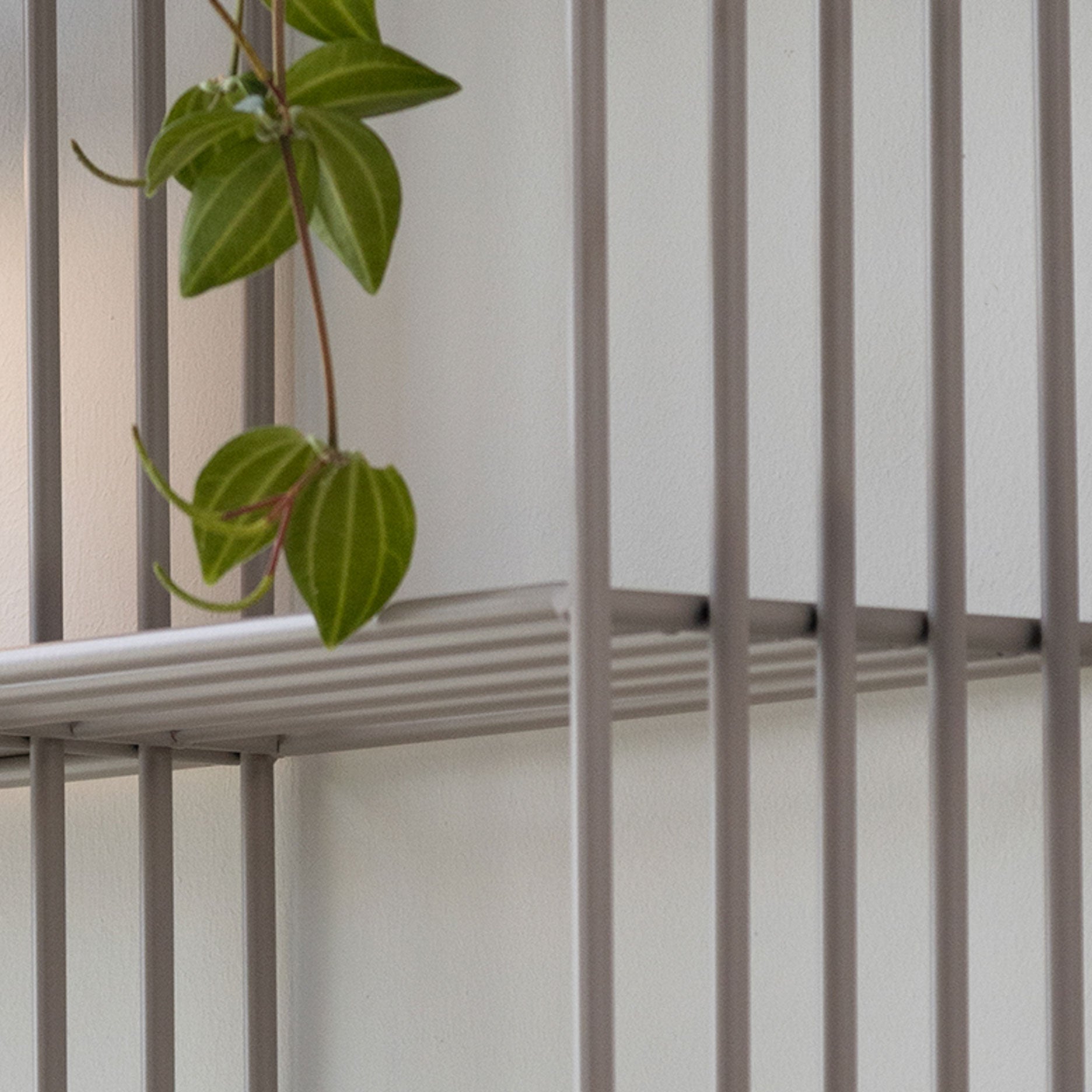 Nohr vægreol m. rum