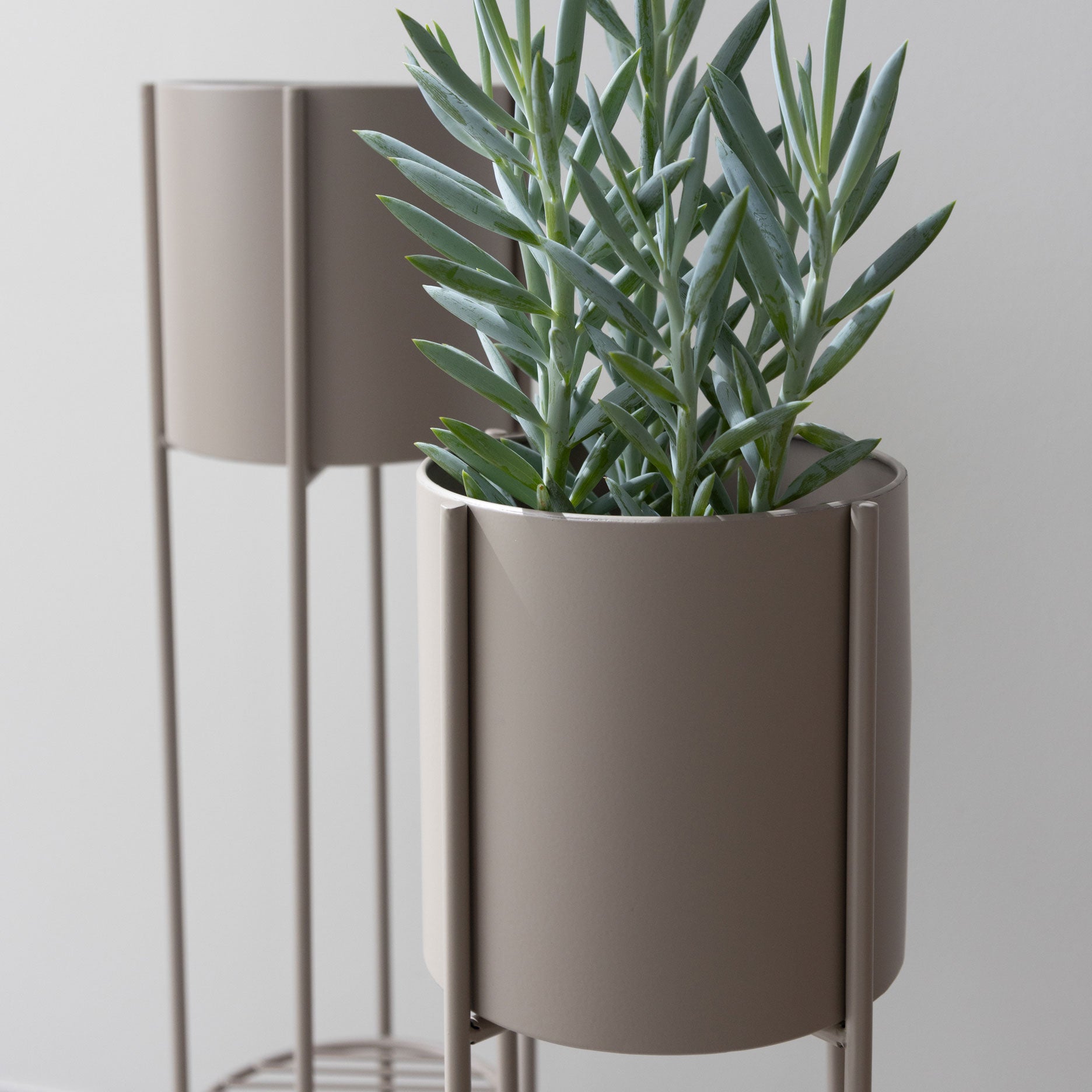 Viola urtepotteholder, H75