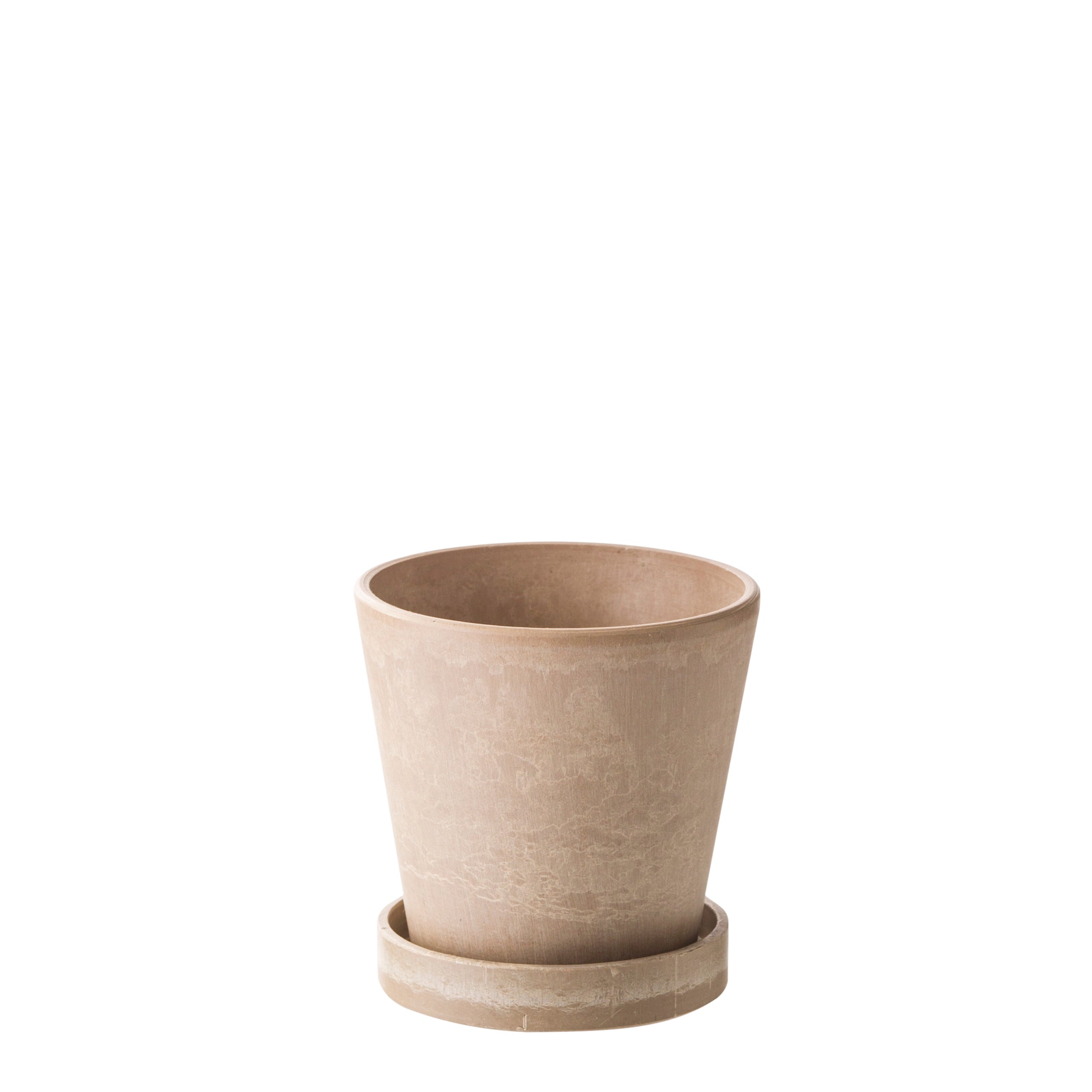 Scilla urtepotte H6,2 cm