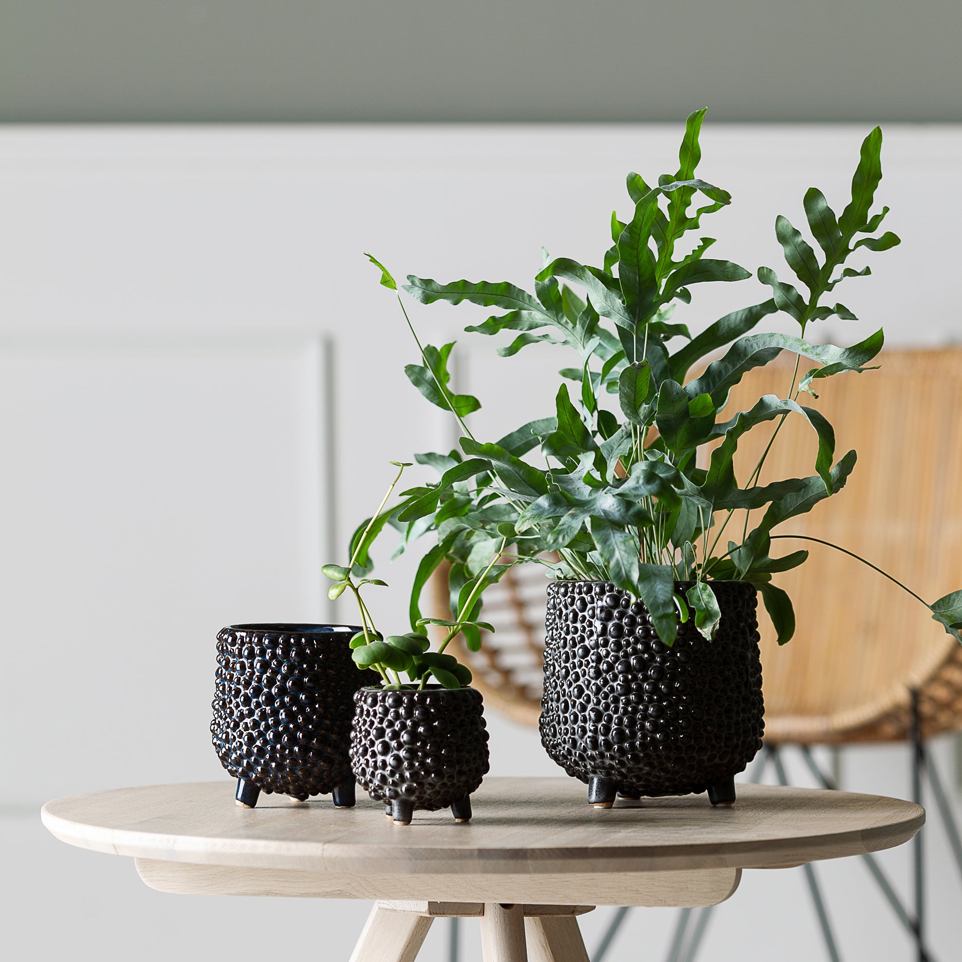 Dots stentøj urtepotte