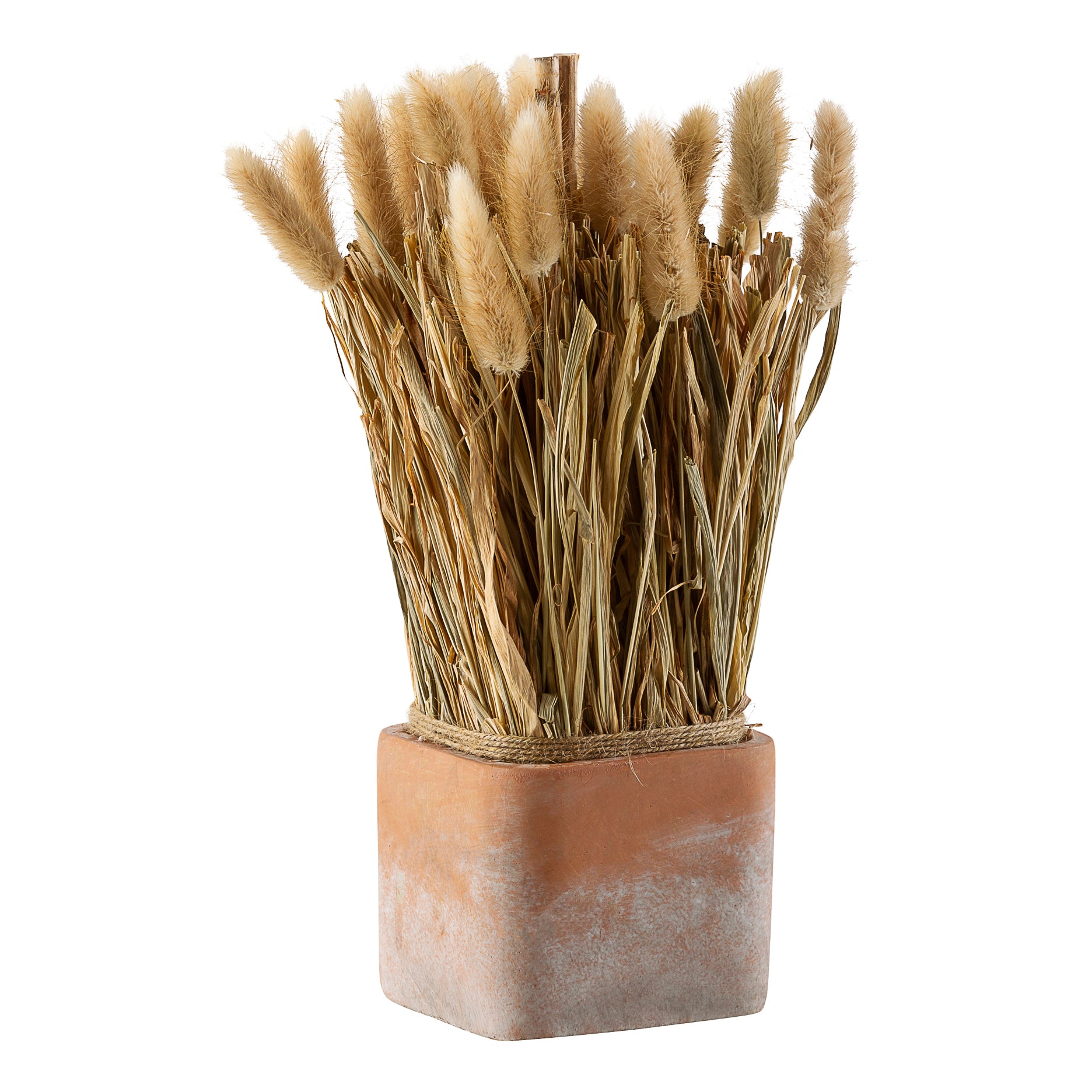 Evighedsblomst i urtepotte