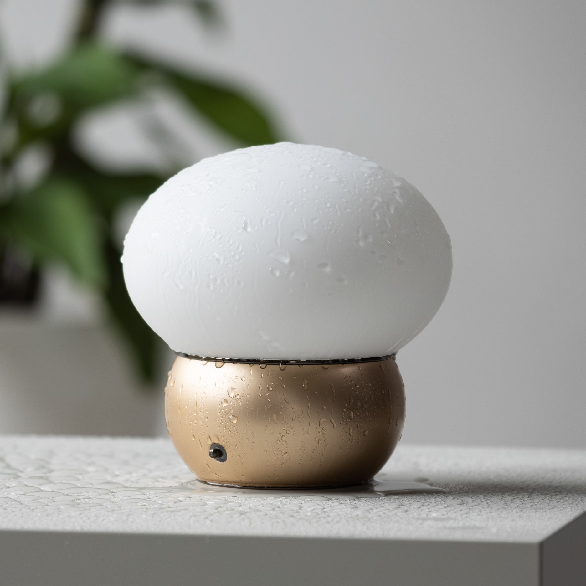 Cocoon LED bordlampe