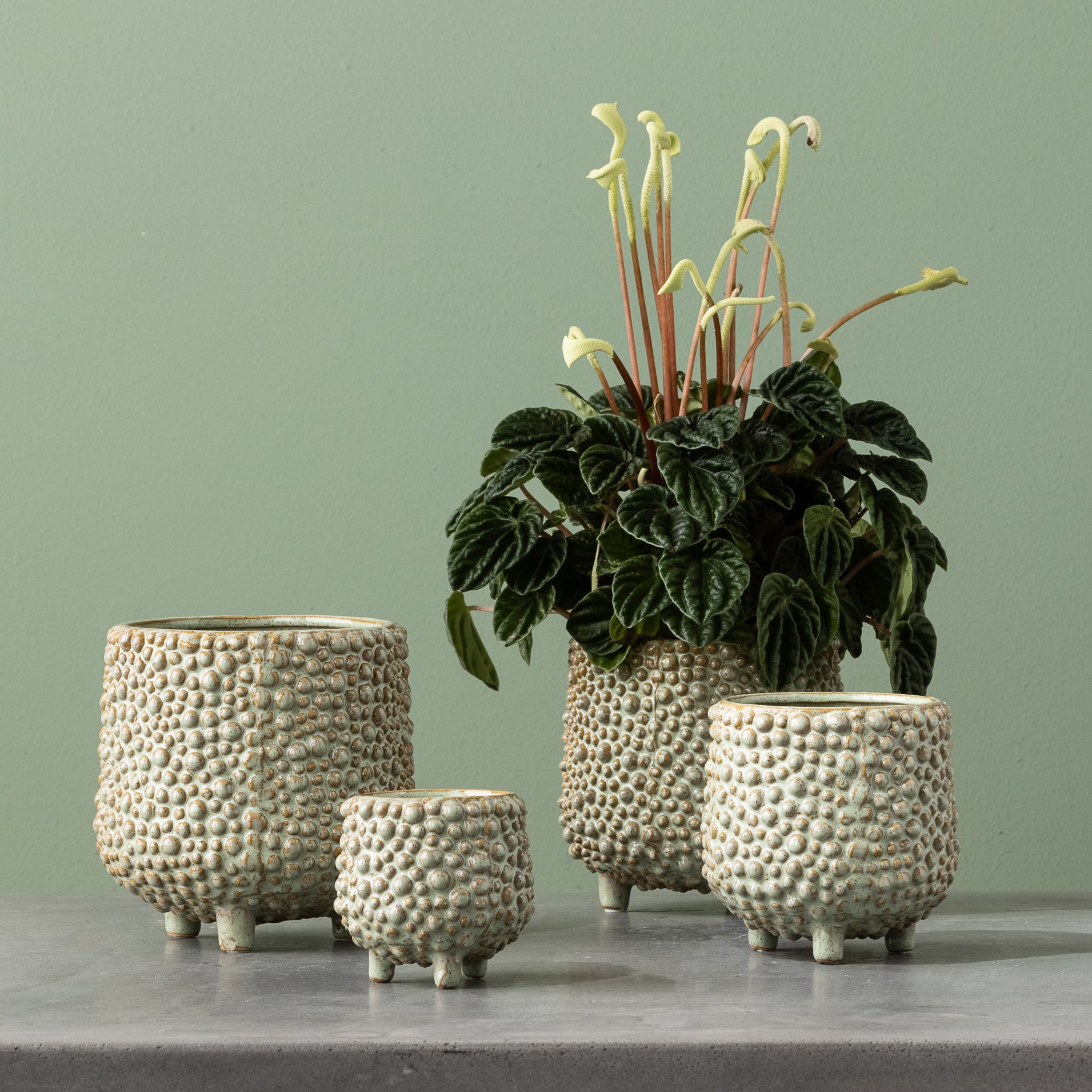 Dots stentøj urtepotte