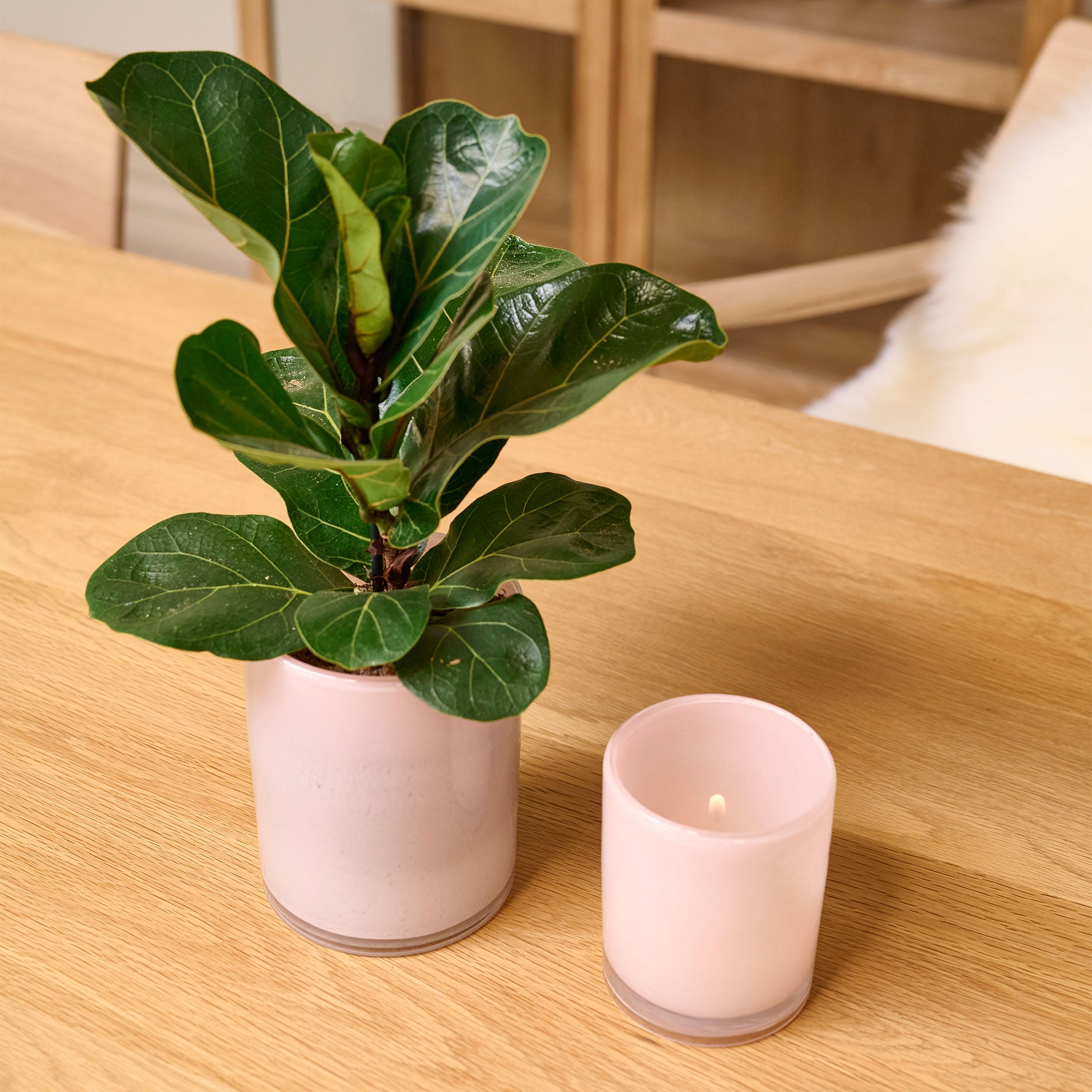 Ocean fyrfadsstage H14,5 cm