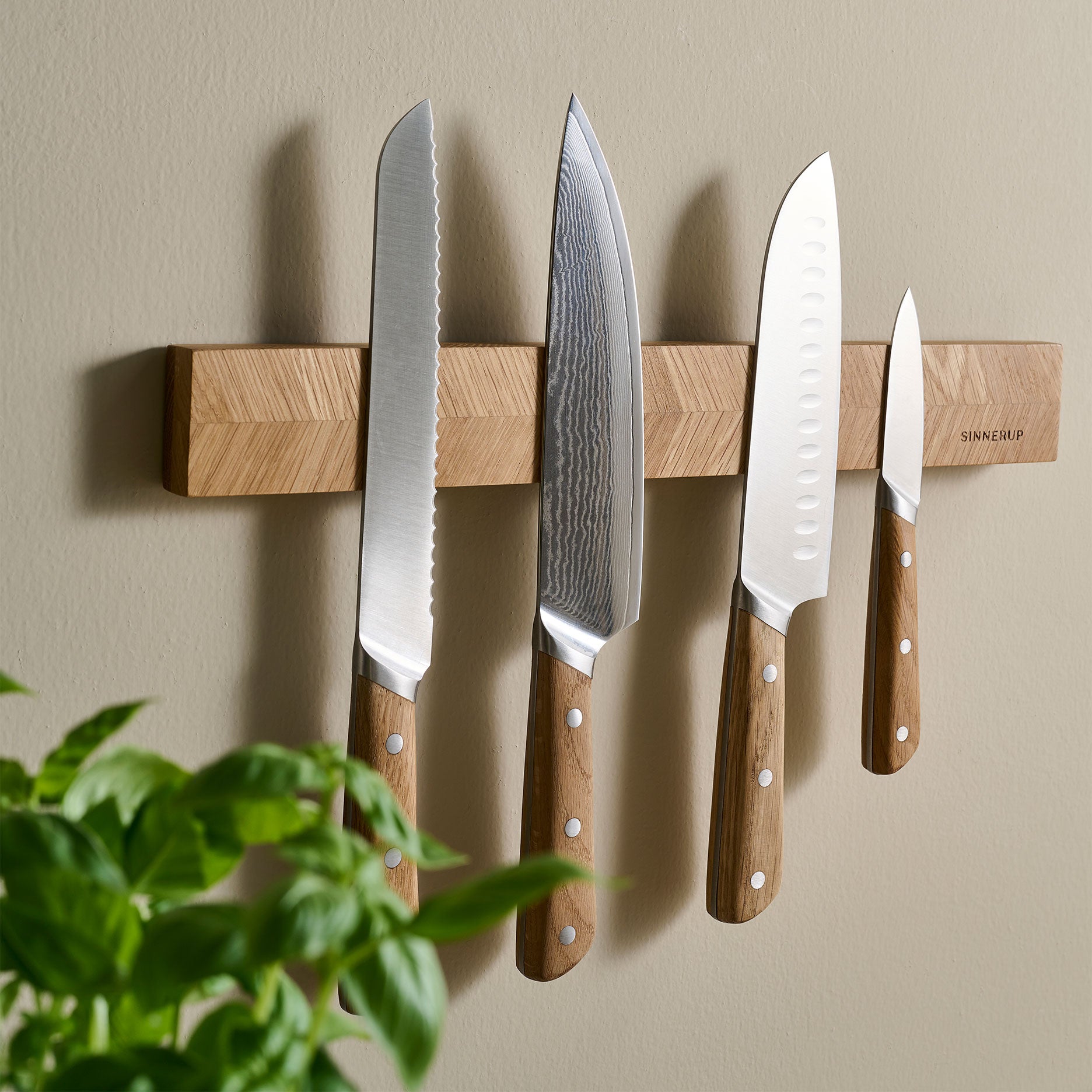 Sildebens egetræ knivmagnet