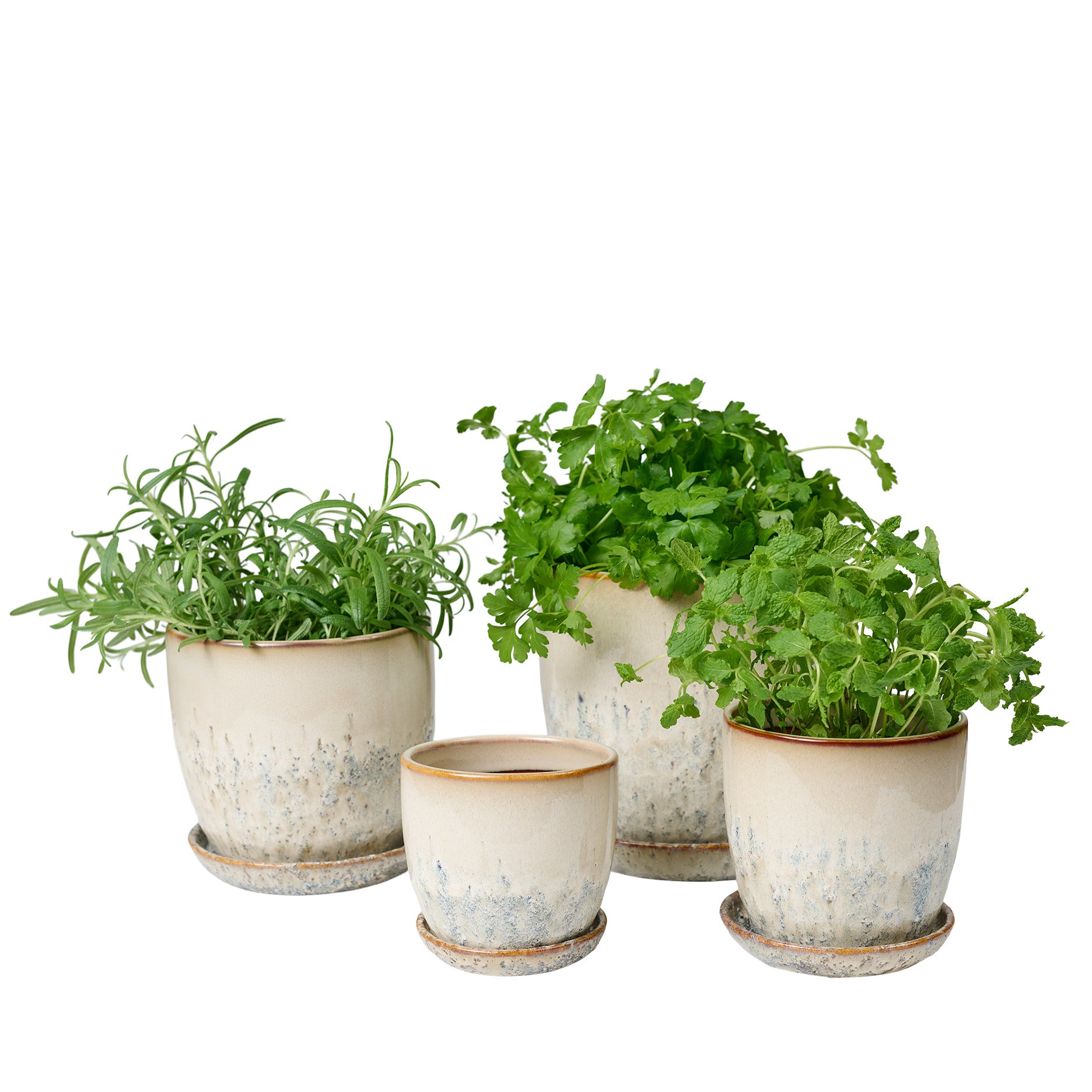 Pio II urtepotte Ø12 cm