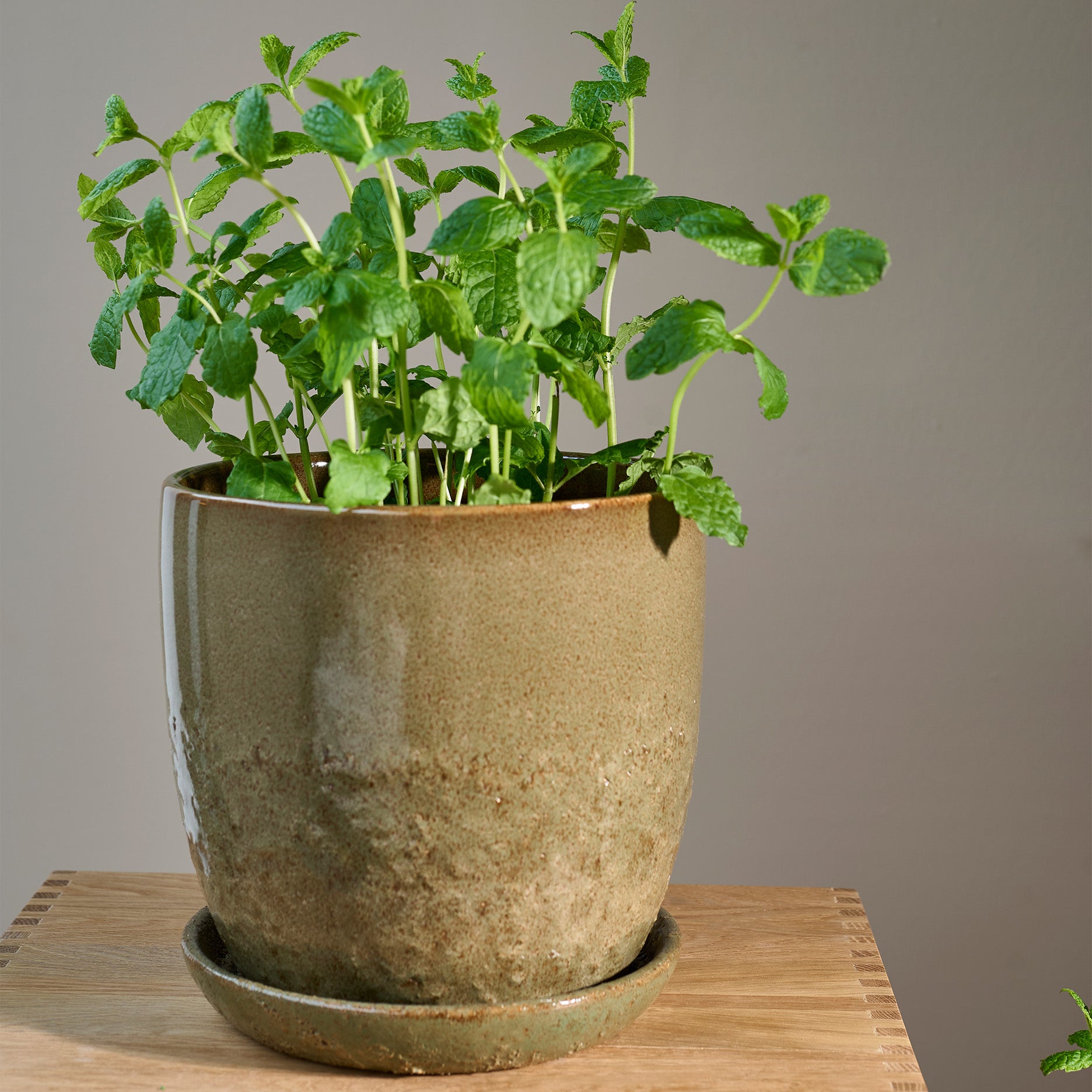 Pio II urtepotte Ø20,5 cm