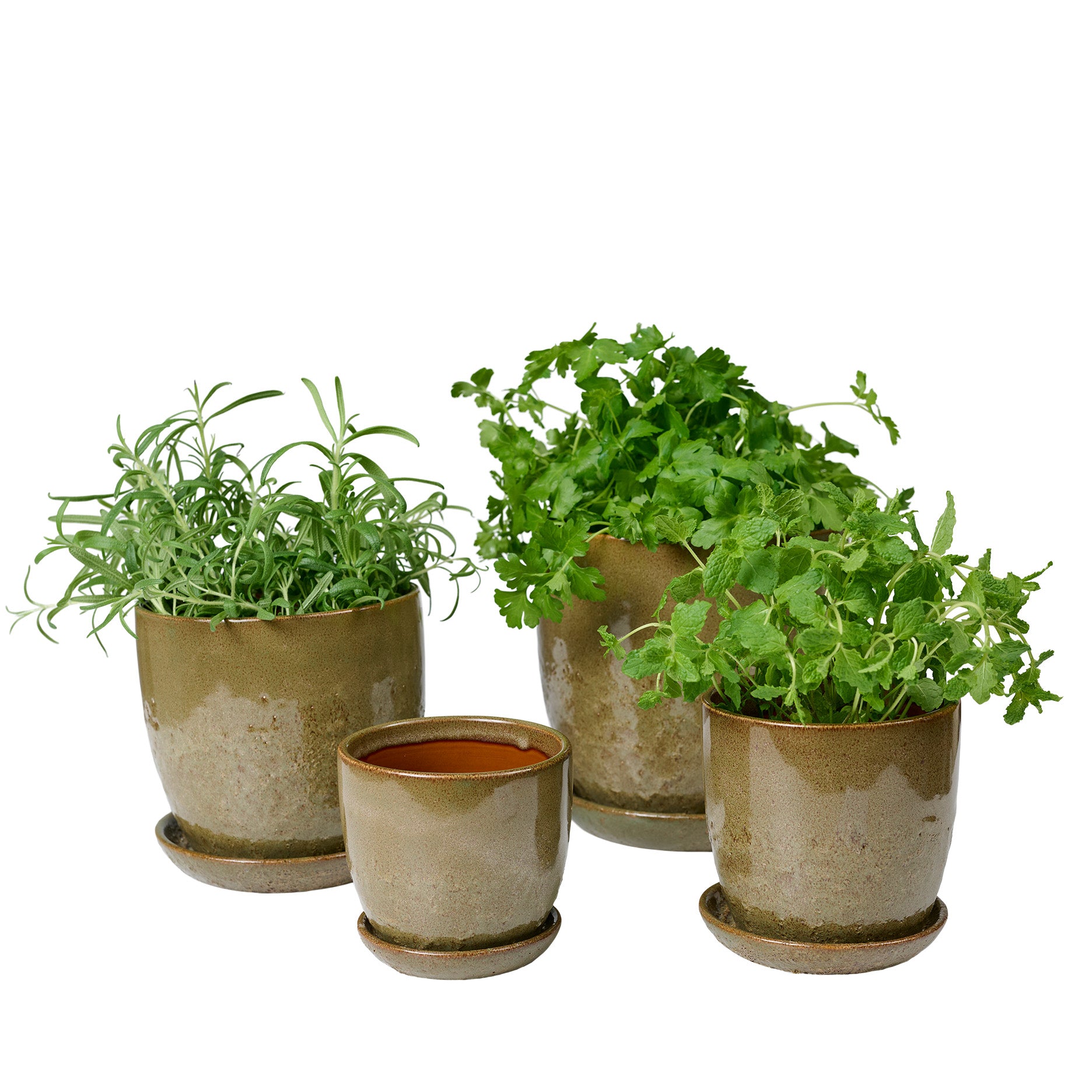 Pio II urtepotte Ø17 cm