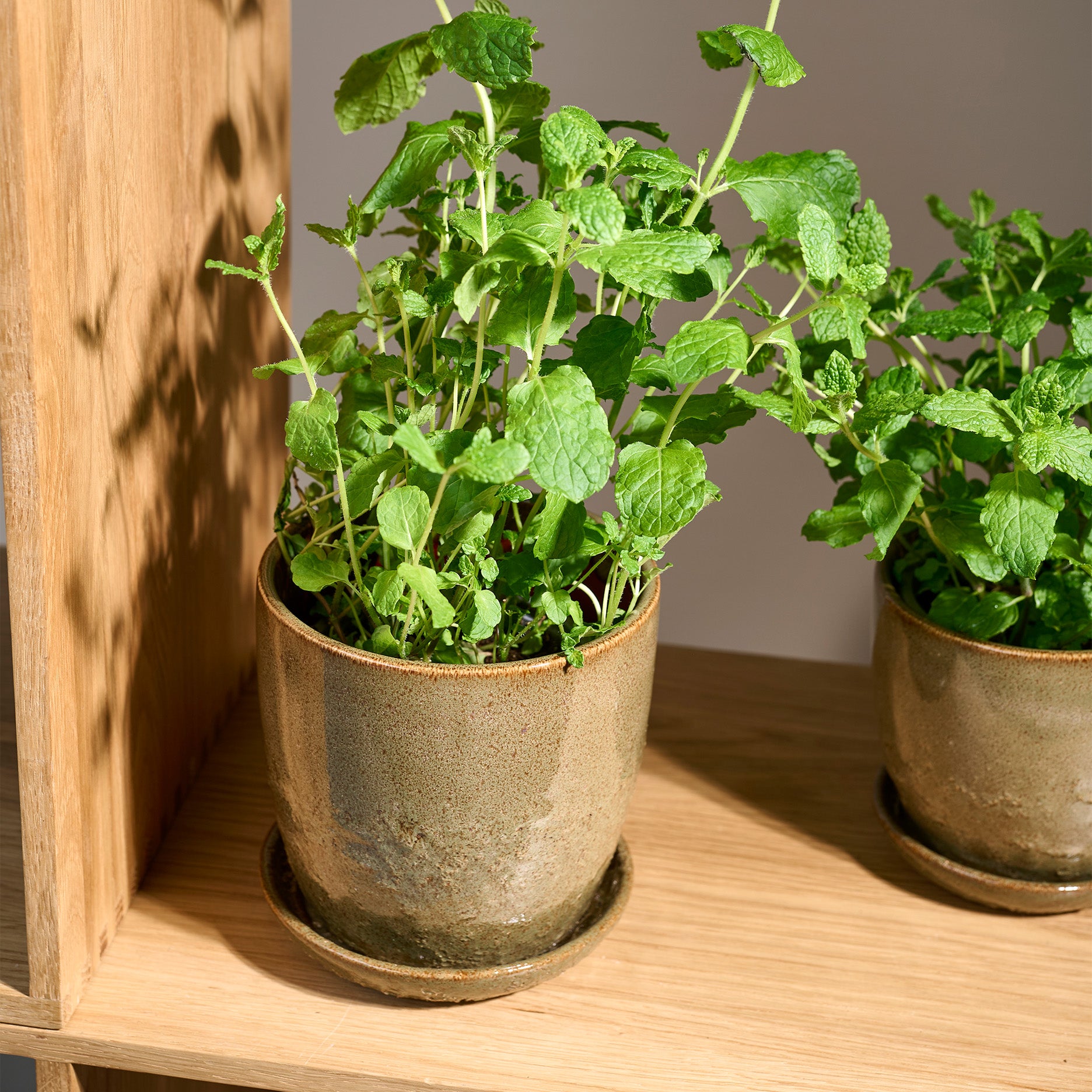 Pio II urtepotte Ø14 cm