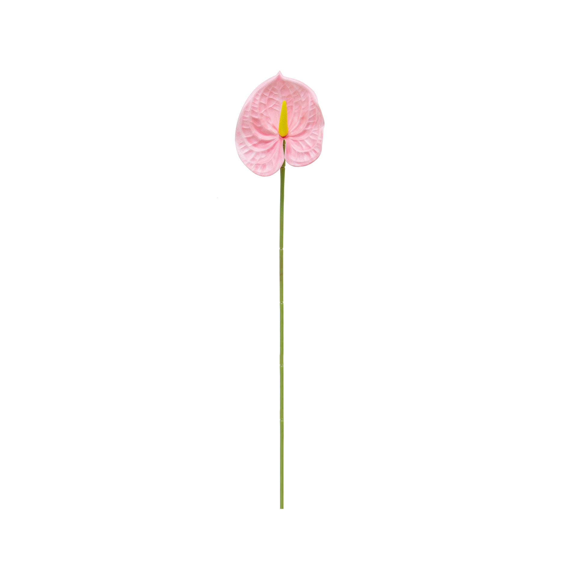 Kunstig flamingoblomst (anthurium)