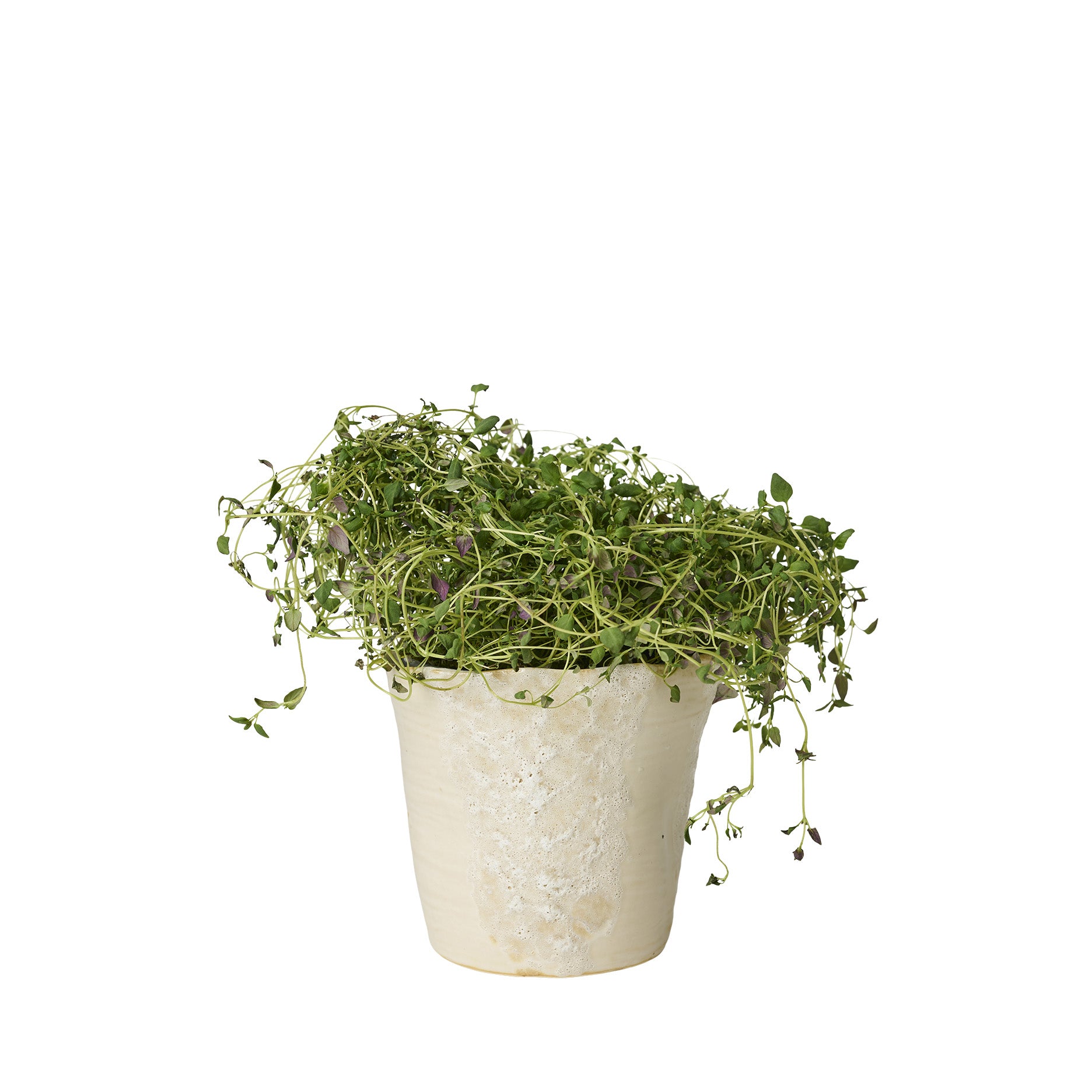 Sculpted urtepotte Ø12,5 cm