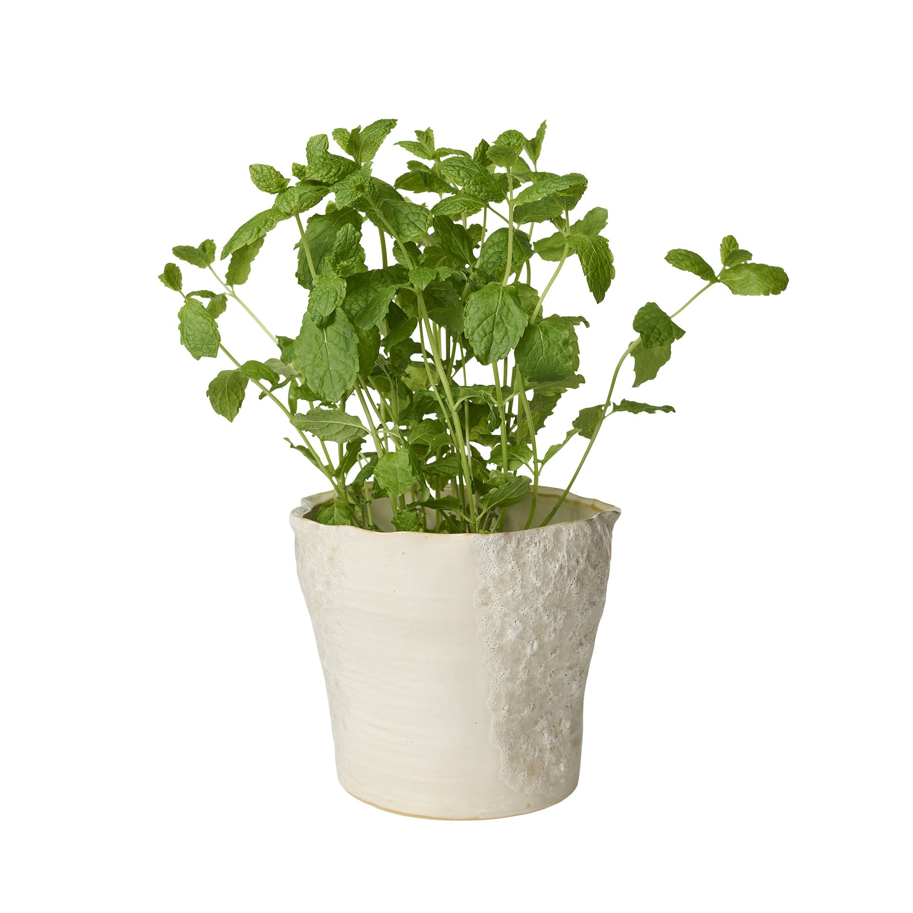 Sculpted urtepotte Ø17 cm