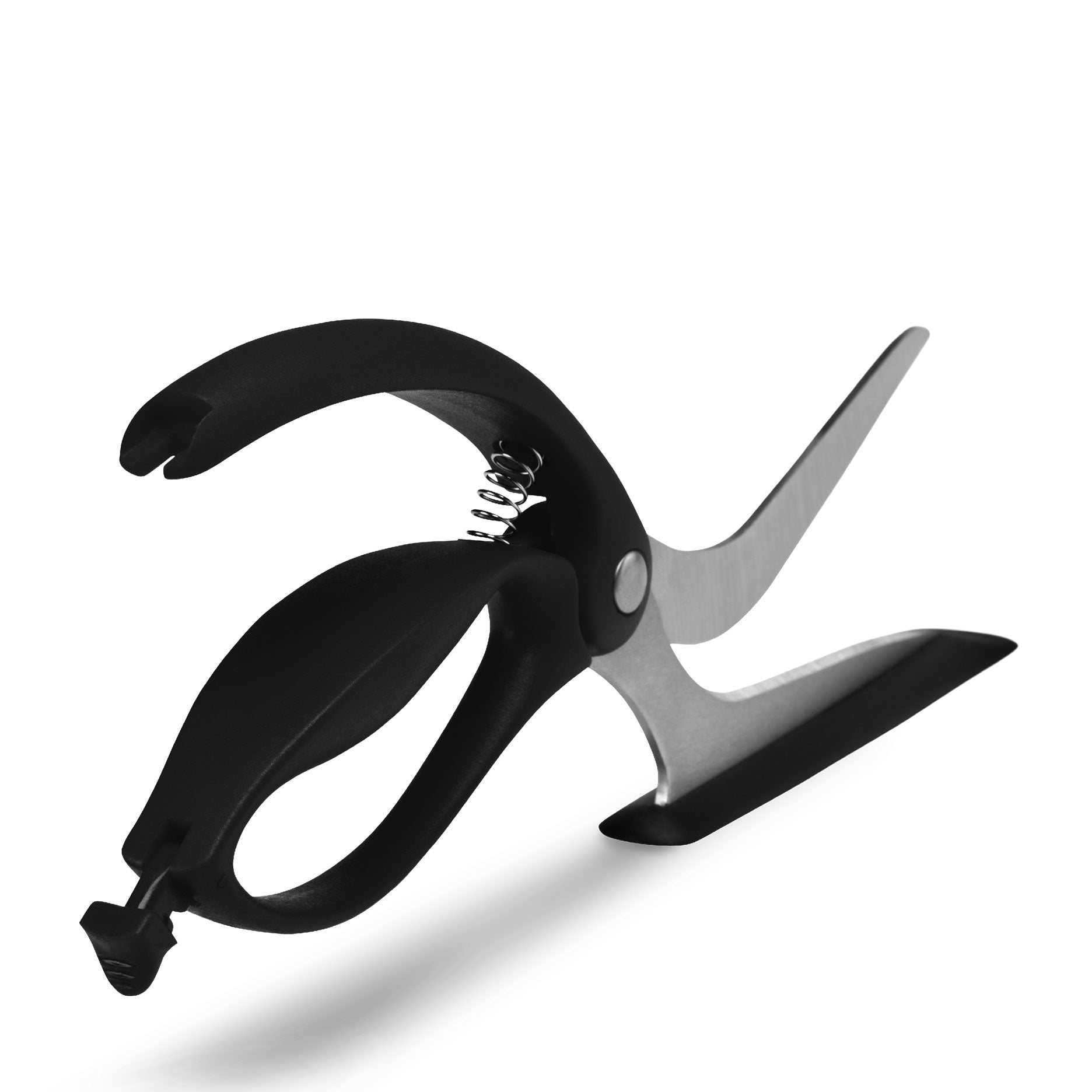 Scizza pizzasaks sort