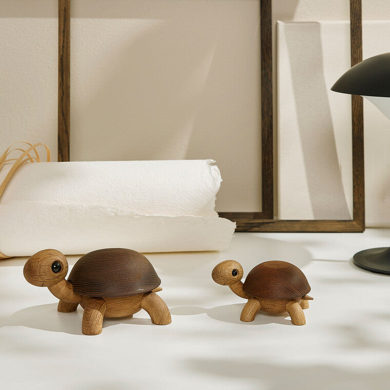 Speedy skildpaddeunge