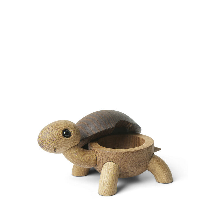 Speedy skildpaddeunge