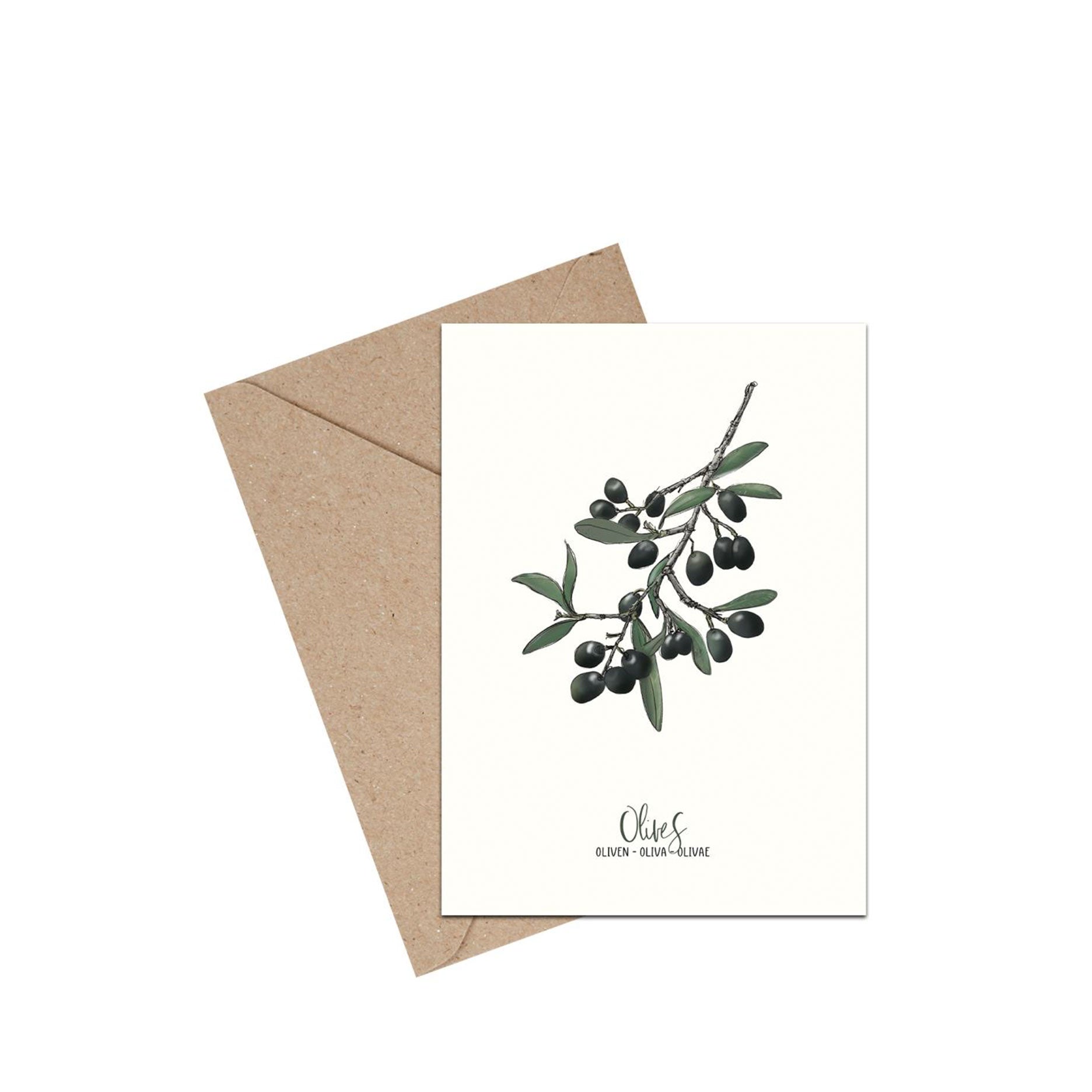 Oliven A6 kort