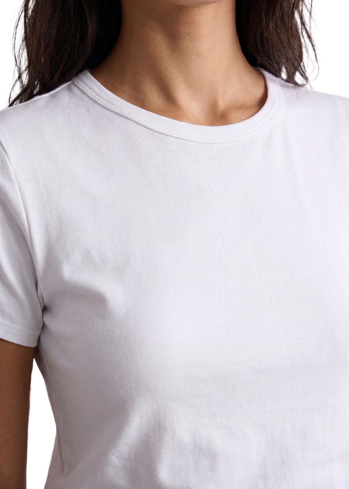 LR-Paloma 6 T-shirt
