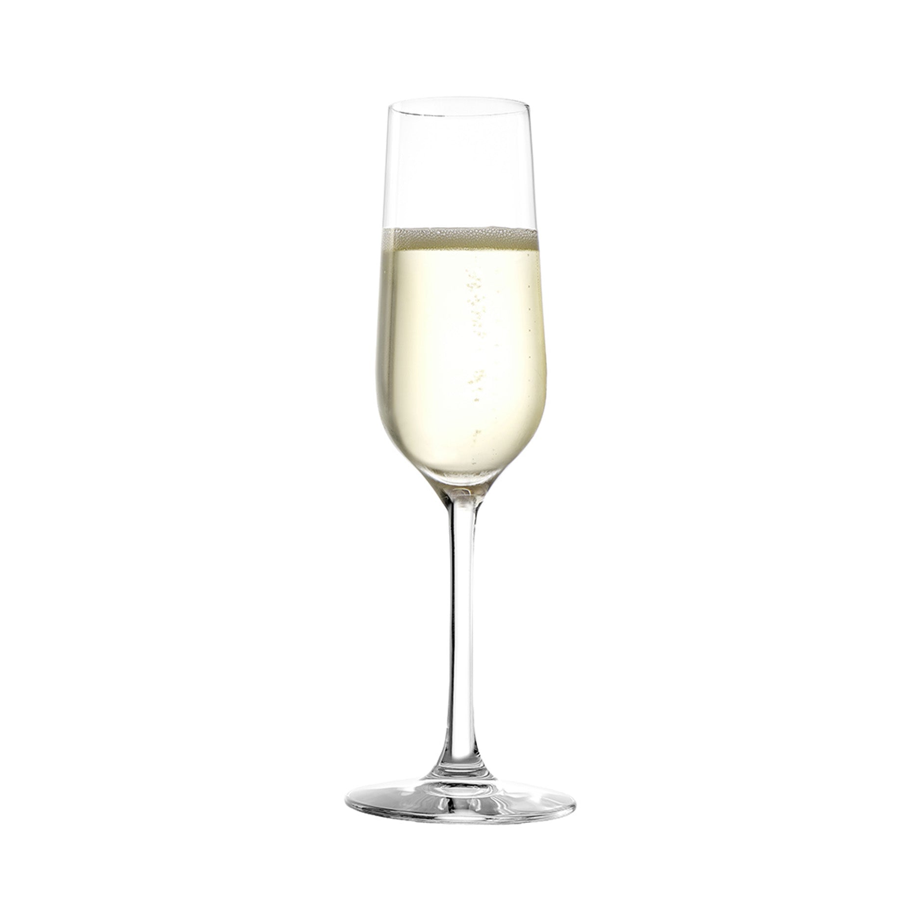 Revolution champagneglas 200 ml 6 stk