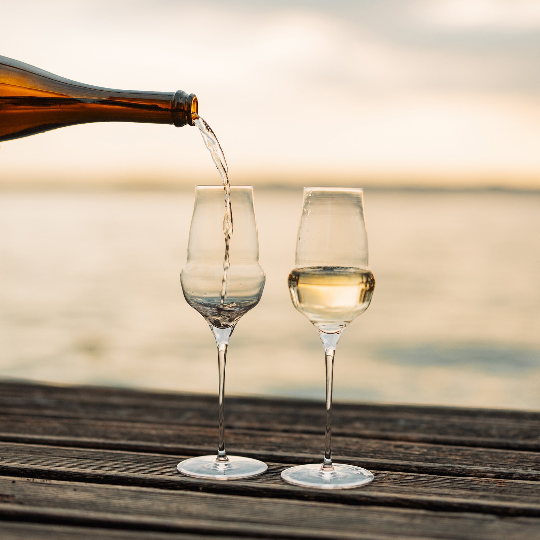 Cocoon champagneglas 340 ml 6 stk